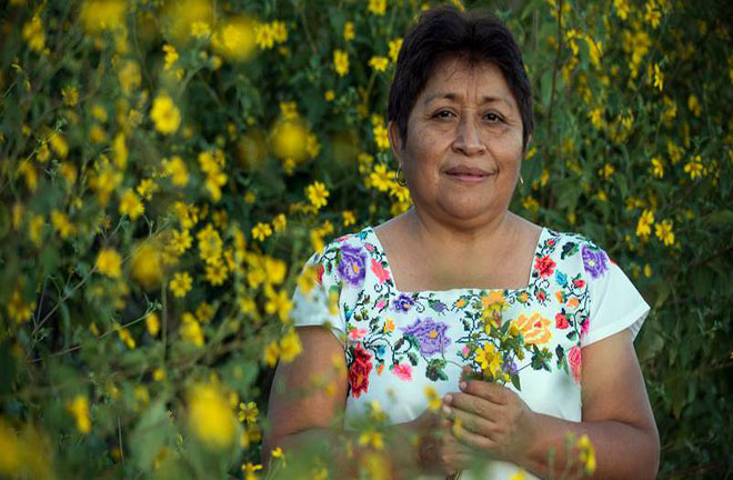 Leydy Pech, mujer maya y activista social ambientalista.